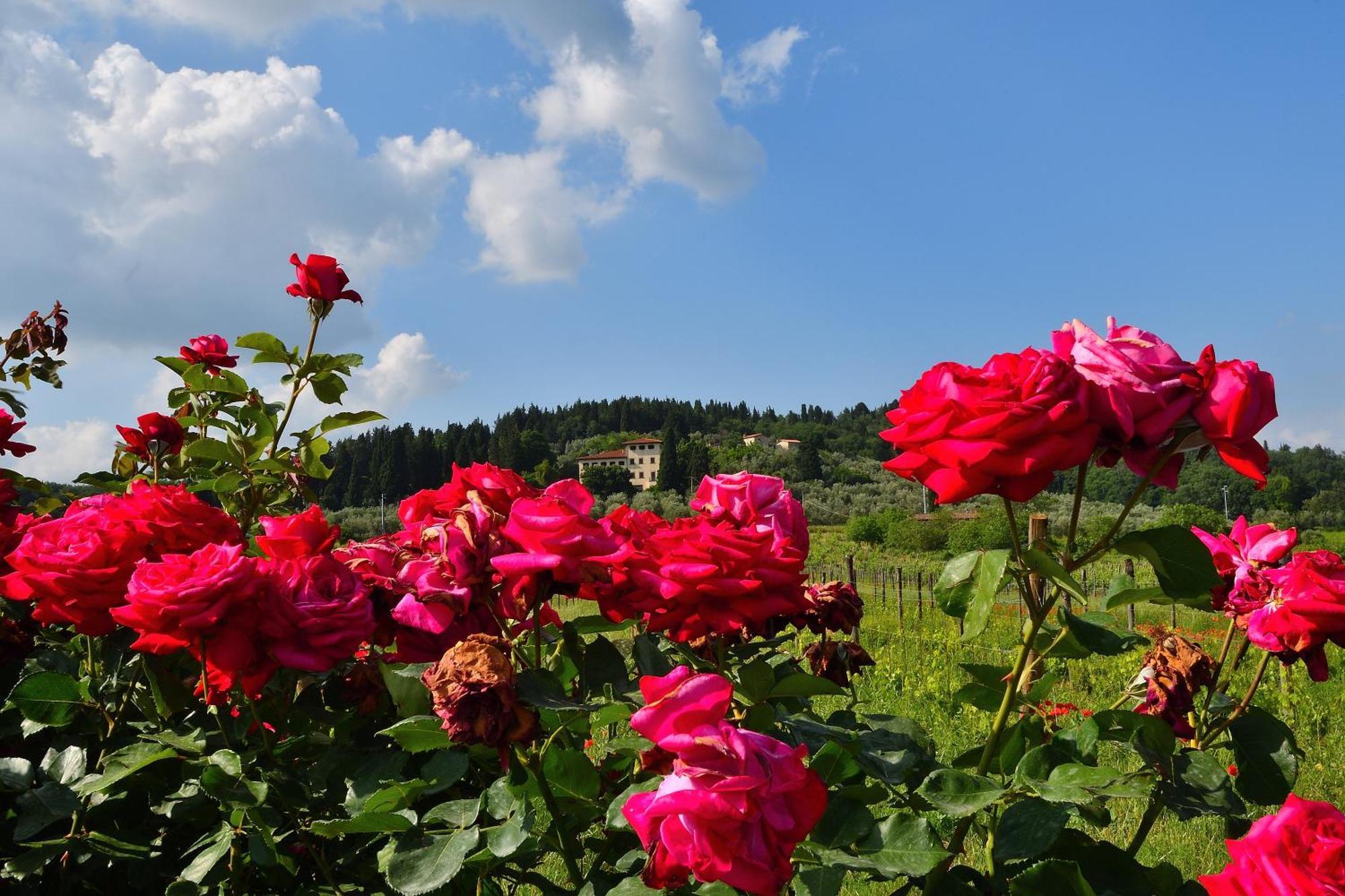 Villa Silvia Rignano Sull Arno Luaran gambar